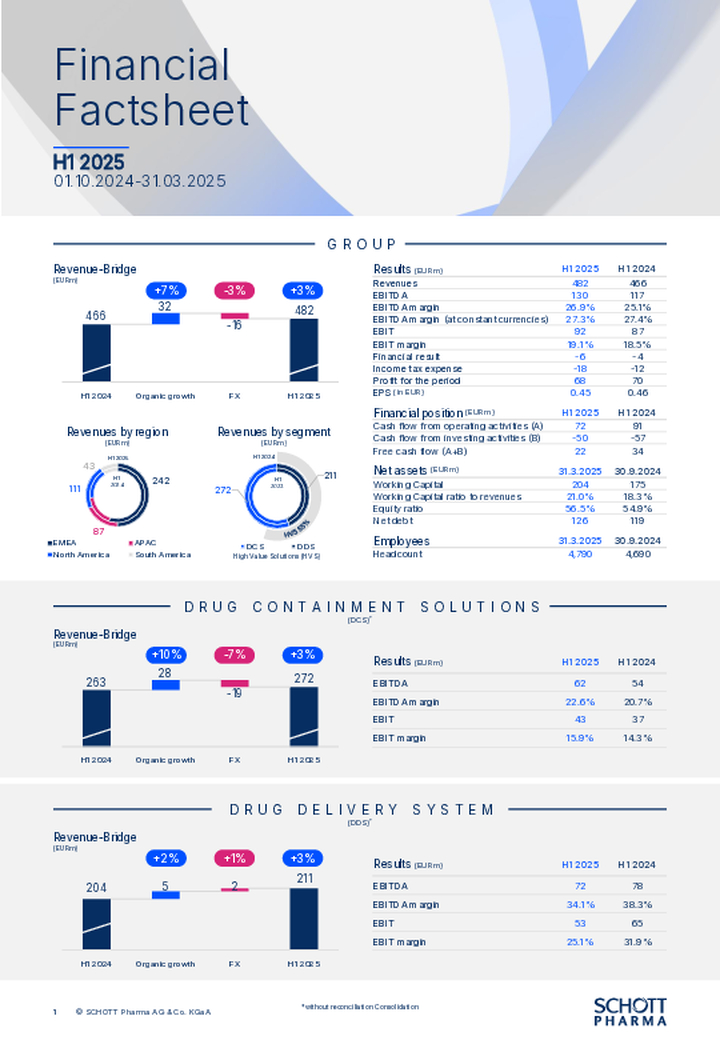 Financial Factsheet H1 2025 (englisch) 