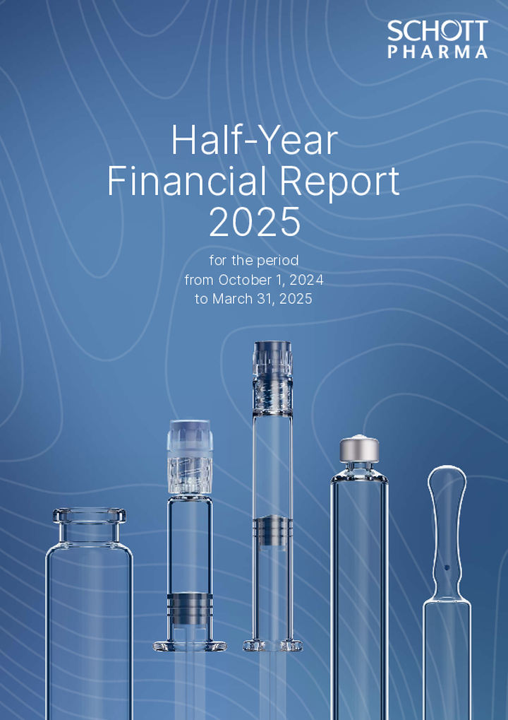 Half-yearly financial report 2024/2025